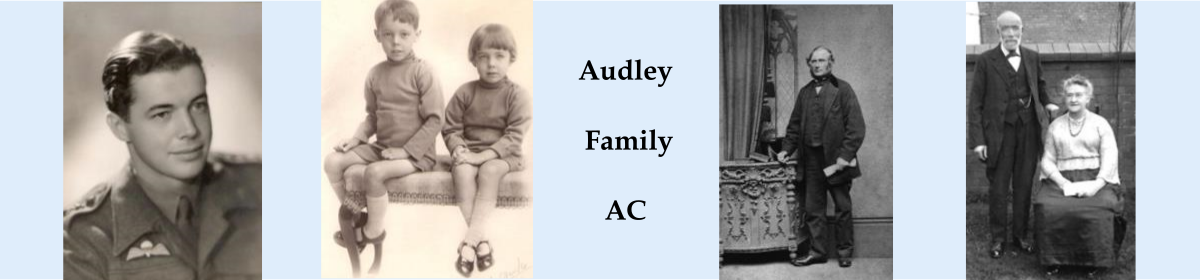 The Website about the Audley Surname